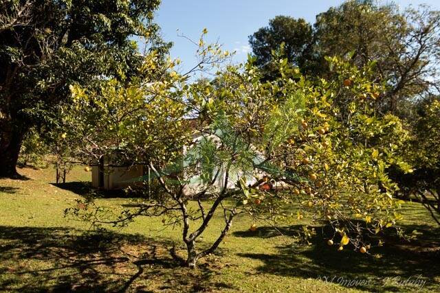Sítio, 4 quartos, 2 hectares - Foto 13
