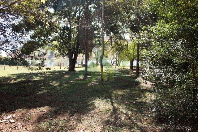 Sítio, 4 quartos, 2 hectares - Foto 41