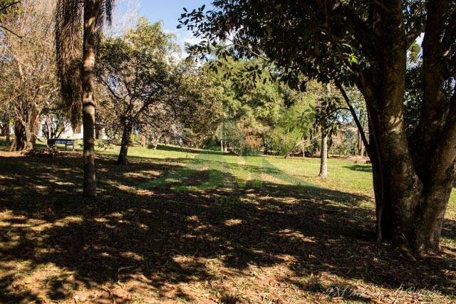 Sítio, 4 quartos, 2 hectares - Foto 44