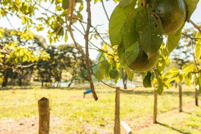 Sítio, 4 quartos, 2 hectares - Foto 46