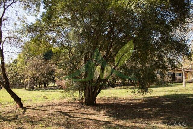 Sítio, 4 quartos, 2 hectares - Foto 48